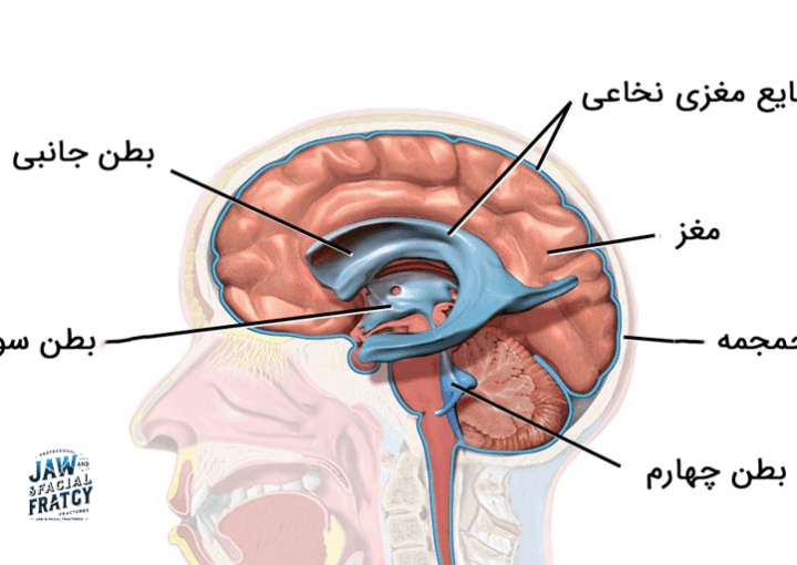 ترشح مایع شفاف از بینی و گوش پس از شکستگی سر