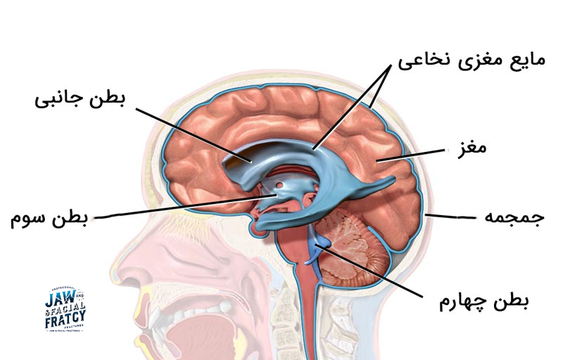 ترشح مایع شفاف از بینی و گوش پس از شکستگی سر