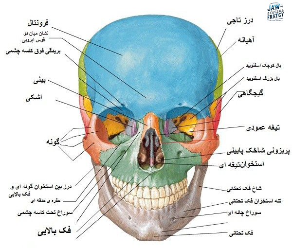 انواع شکستگی‌های صورت